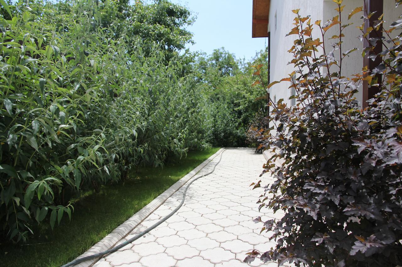 Guest House Leto Dolinka Екстер'єр фото
